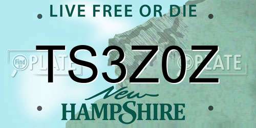 TS3Z0Z New Hampshire License Plate