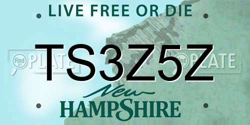 TS3Z5Z New Hampshire License Plate
