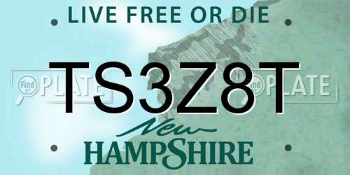 TS3Z8T New Hampshire License Plate