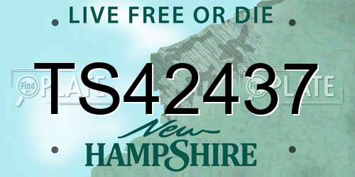 TS42437 New Hampshire License Plate
