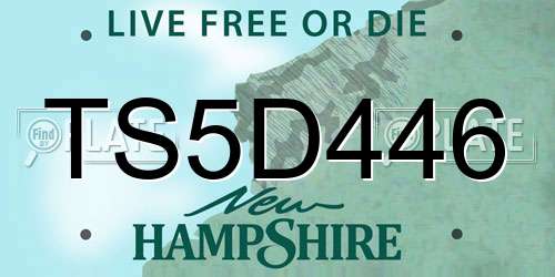 TS5D446 New Hampshire License Plate