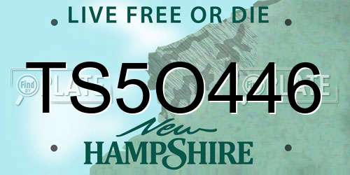 TS5O446 New Hampshire License Plate
