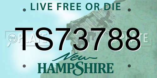 TS73788 New Hampshire License Plate