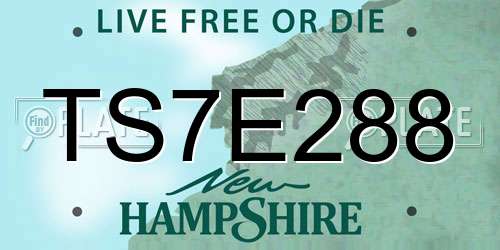 TS7E288 New Hampshire License Plate