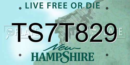 TS7T829 New Hampshire License Plate