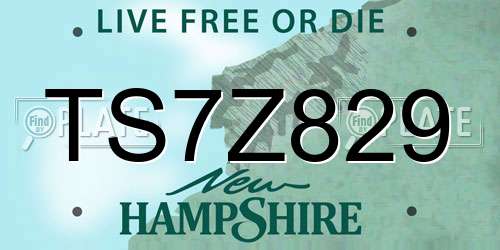 TS7Z829 New Hampshire License Plate