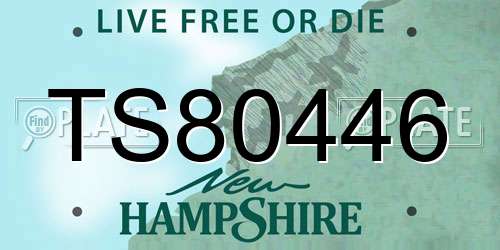 TS80446 New Hampshire License Plate