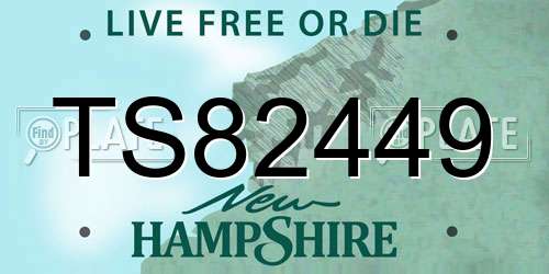 TS82449 New Hampshire License Plate