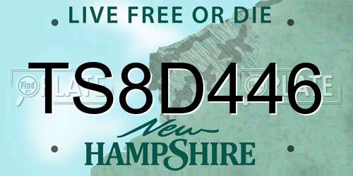 TS8D446 New Hampshire License Plate