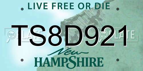 TS8D921 New Hampshire License Plate
