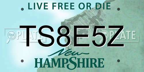 TS8E5Z New Hampshire License Plate