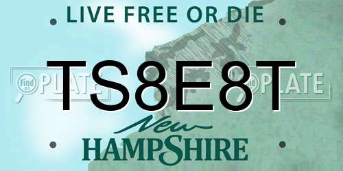 TS8E8T New Hampshire License Plate