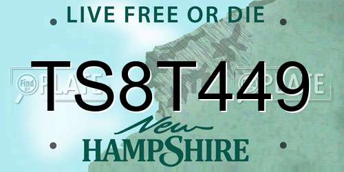 TS8T449 New Hampshire License Plate
