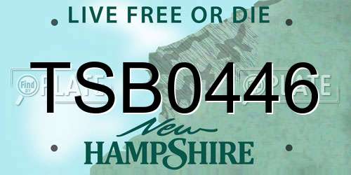 TSB0446 New Hampshire License Plate