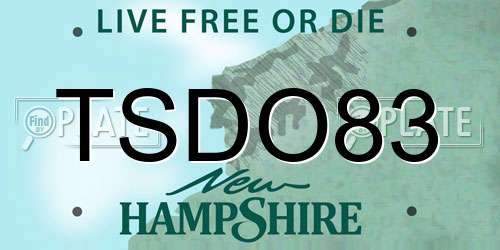 TSDO83 New Hampshire License Plate