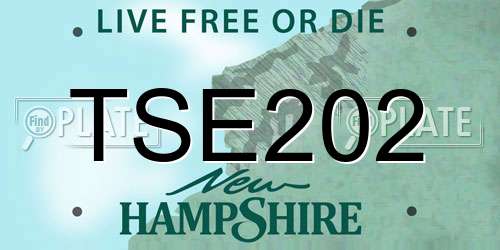 TSE202 New Hampshire License Plate