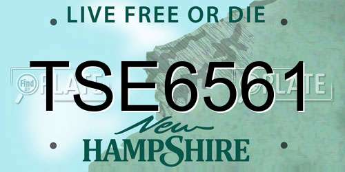 TSE6561 New Hampshire License Plate