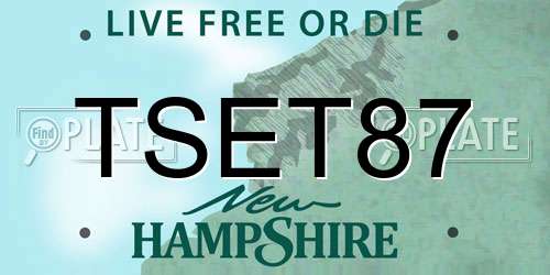 TSET87 New Hampshire License Plate
