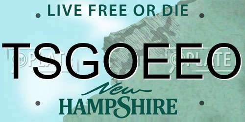 TSGOEEO New Hampshire License Plate