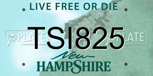 TSI825 New Hampshire License Plate