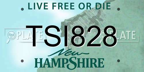 TSI828 New Hampshire License Plate