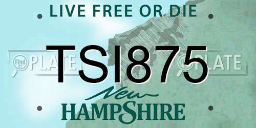 TSI875 New Hampshire License Plate