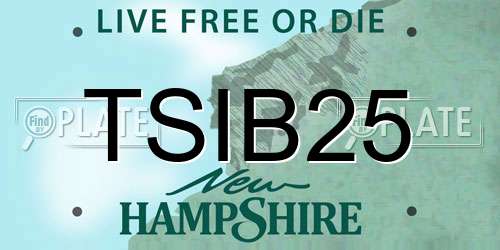 TSIB25 New Hampshire License Plate