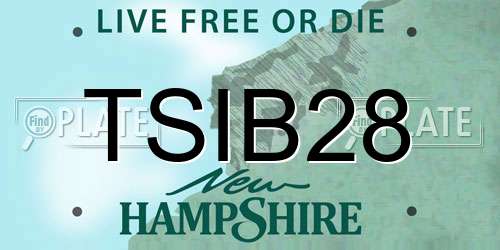 TSIB28 New Hampshire License Plate