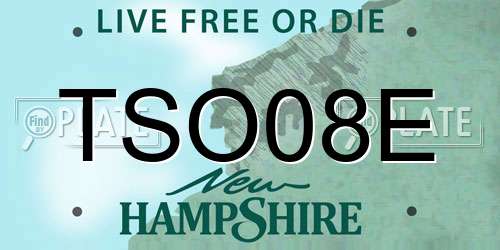 TSO08E New Hampshire License Plate