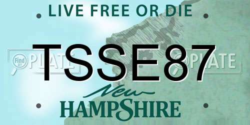 TSSE87 New Hampshire License Plate