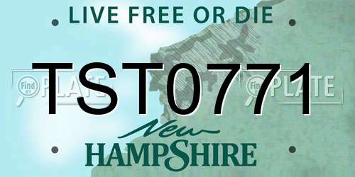 TST0771 New Hampshire License Plate