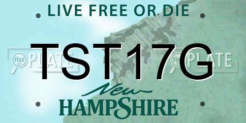 TST17G New Hampshire License Plate