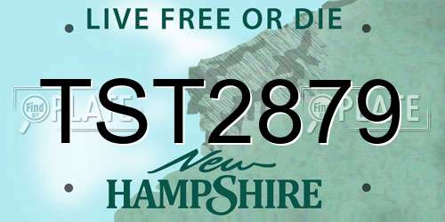 TST2879 New Hampshire License Plate