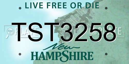TST3258 New Hampshire License Plate