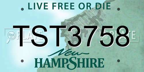 TST3758 New Hampshire License Plate