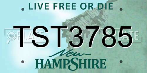 TST3785 New Hampshire License Plate