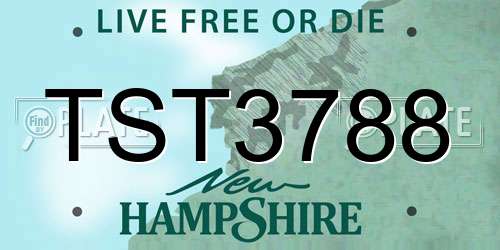 TST3788 New Hampshire License Plate