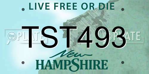 TST493 New Hampshire License Plate