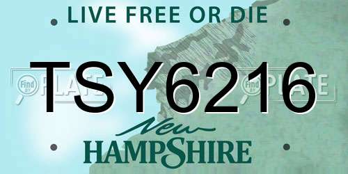 TSY6216 New Hampshire License Plate