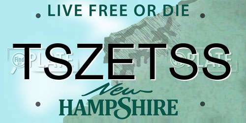 TSZETSS New Hampshire License Plate