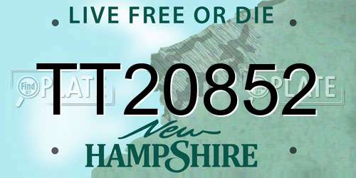 TT20852 New Hampshire License Plate