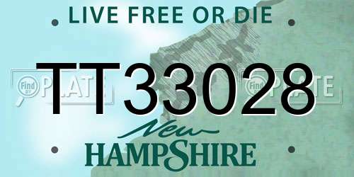 TT33028 New Hampshire License Plate