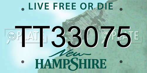 TT33075 New Hampshire License Plate