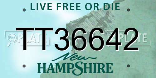 TT36642 New Hampshire License Plate