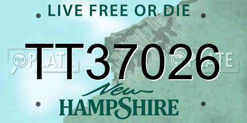 TT37026 New Hampshire License Plate