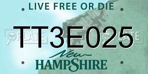 TT3E025 New Hampshire License Plate