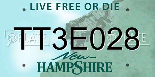 TT3E028 New Hampshire License Plate