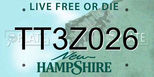 TT3Z026 New Hampshire License Plate