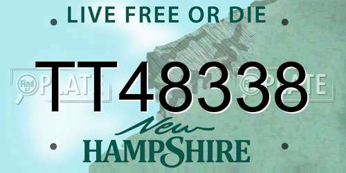 TT48338 New Hampshire License Plate