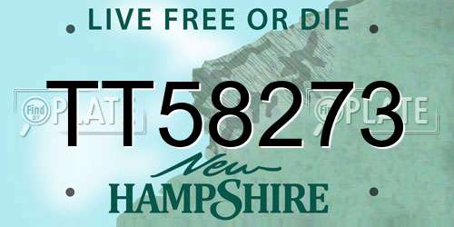 TT58273 New Hampshire License Plate